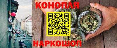 индика Чебоксары