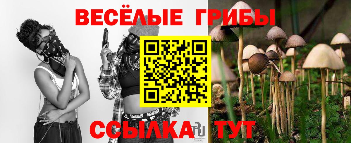 Углич  продажа наркотиков  Вход с VPN  Галлюциногенные грибы Psilocybe 